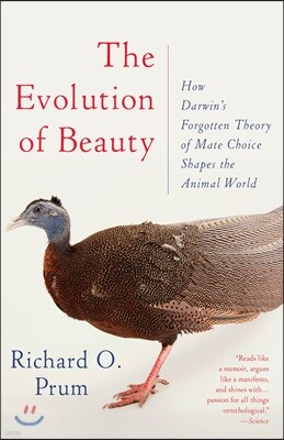 The Evolution of Beauty: How Darwin's Forgotten Theory of Mate Choice Shapes the Animal World - And Us