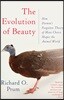 The Evolution of Beauty: How Darwin's Forgotten Theory of Mate Choice Shapes the Animal World - And Us