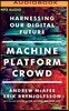 Machine, Platform, Crowd: Harnessing Our Digital Future