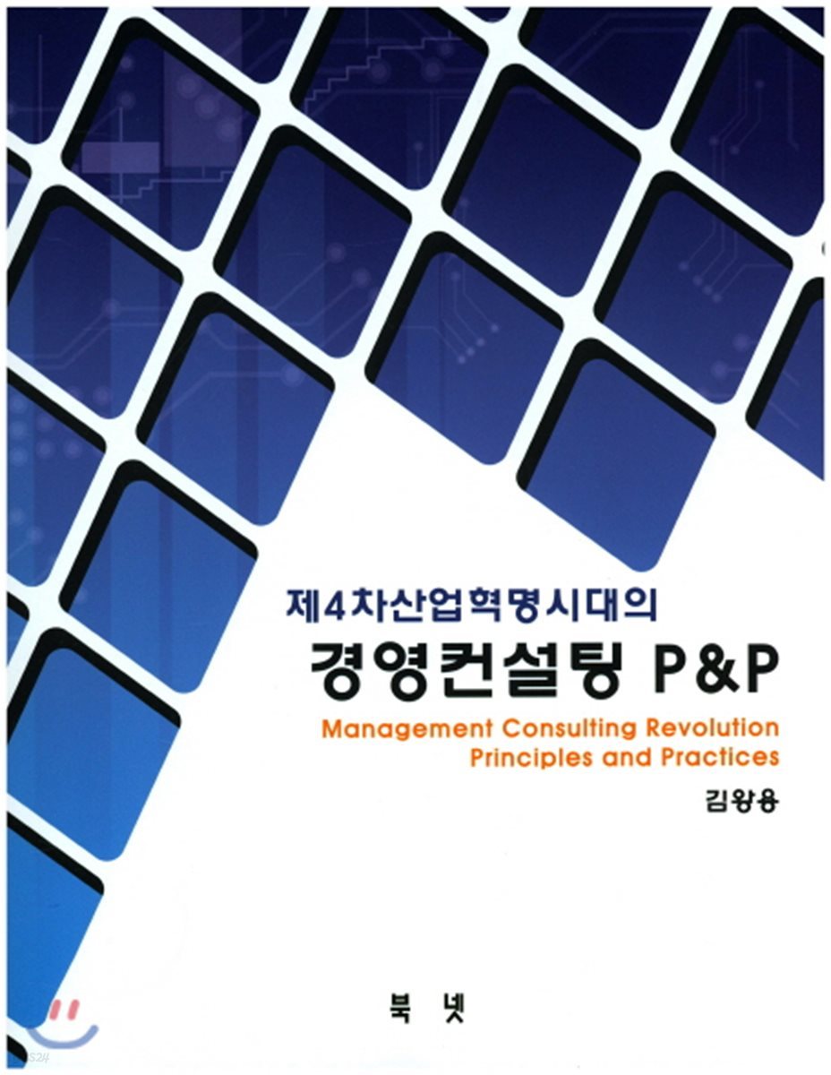 경영컨설팅 P&amp;P