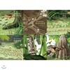 최재천 교수의 어린이 개미 이야기 1~6권 묶음세트(전6권):직업 협동 생존 생활