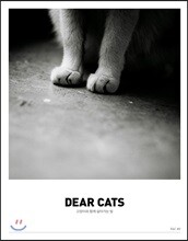 디어캣츠 Dear Cats vol. 1