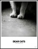 디어캣츠 Dear Cats vol. 1