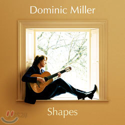 Dominic Miller - Shapes