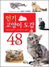 인기 고양이 도감 48