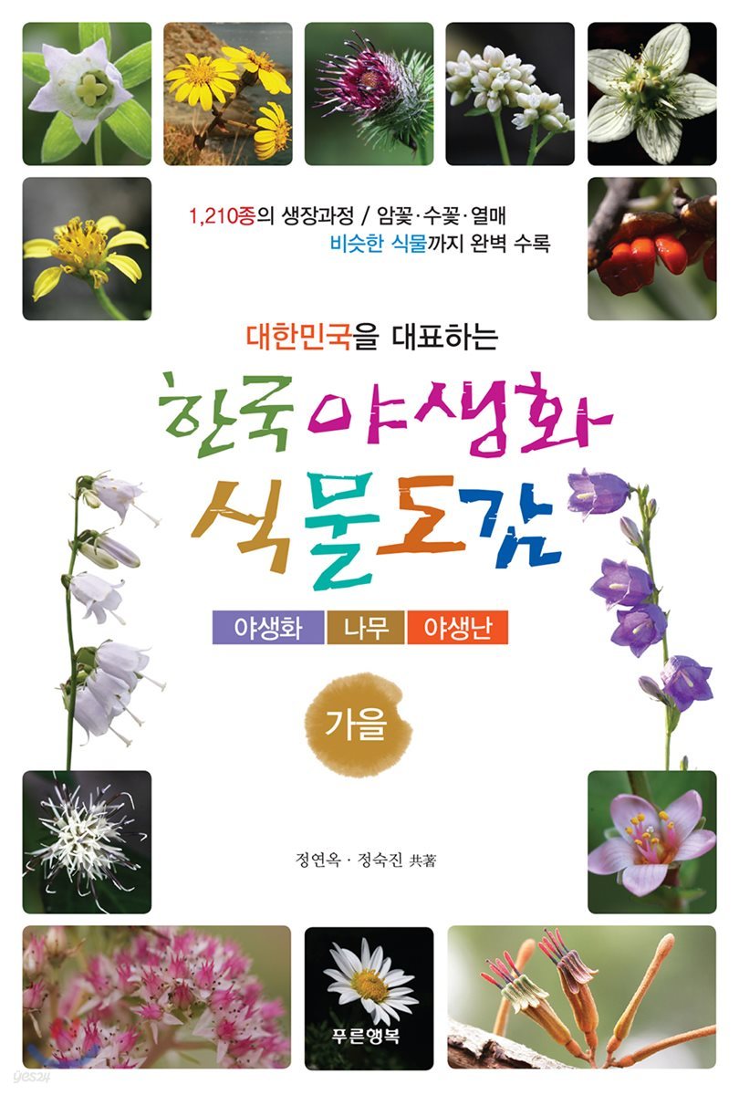 한국 야생화 식물도감 (가을)