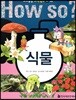 식물