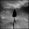 Manchester Orchestra - A Black Mile To The Surface (Deluxe Edition)(180G)(2LP)