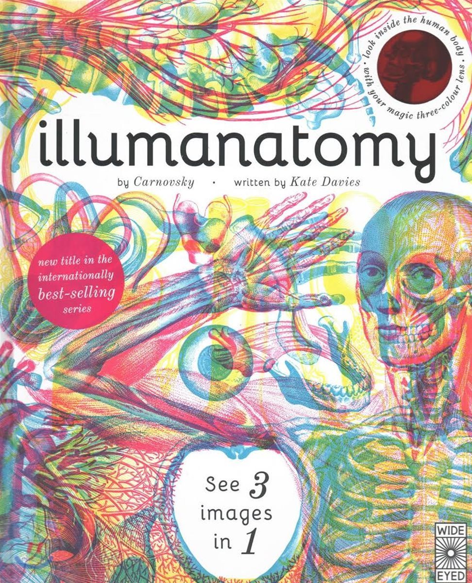 Illumanatomy