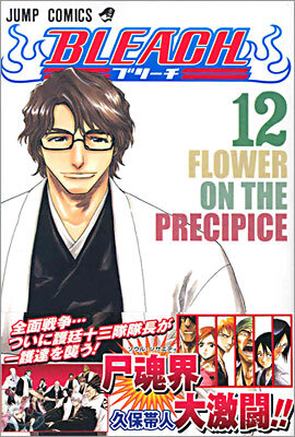 BLEACH ブリ-チ 12
