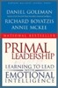 Primal Leadership : Realizing the Power of Emotional Intelligence
