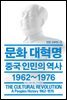문화 대혁명