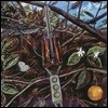Dragonfly (드래곤플라이) - Dragonfly [LP]