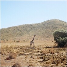 요조(Yozoh) - 우리는 선처럼 가만히 누워