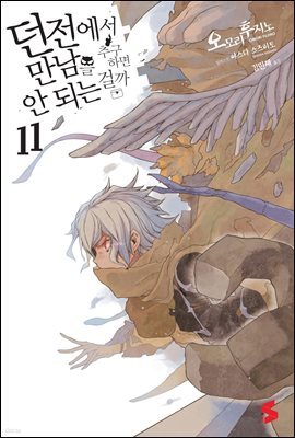 던전에서 만남을 추구하면 안 되는 걸까 11권
