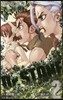 Dr.STONE   2