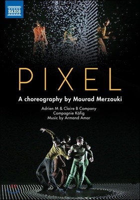 Compagnie Kafig 무라드 메르조키의 현대무용 ‘픽셀’ - 컴퍼니 카피그 (Mourad Merzouki: Pixel - Music by Armand Amar 아르망 아마르) [Contemporary Dance]