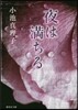 夜は滿ちる