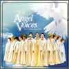St. Philips Boy's Choir 천사의 목소리 - 세인트 필립스 소년 합창단 (Angel Voices)
