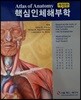 핵심 인체해부학