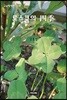 로스쿨의 사계(四季)