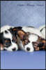 Papillon February Notebook Papillon Record, Log, Diary, Special Memories, to Do List, Academic Notepad, Scrapbook & More