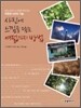 사진에 느낌을 담는 여덟가지 방법