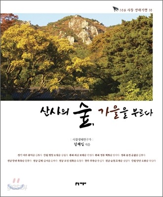 산사의 숲, 가을을 부르다