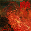 Morbid Angel - Blessed Are The Sick (LP)