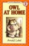 Owl at Home