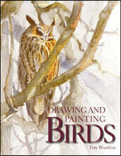 Drawing and Painting Birds