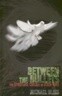 Between the Bullets: The Spiritual Cinema of John Woo