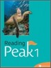 Reading Peak 1
