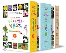 한국 야생화 식물도감 세트