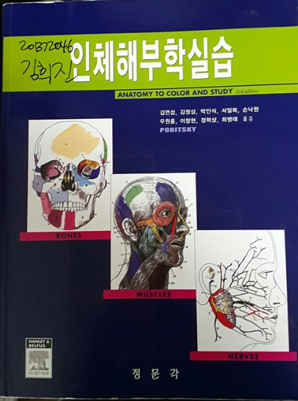 인체해부학실습