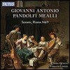 Opera Qvinta 판돌피 메알리: 발레 소나타 - 파브리치오 롱고, 오페라 크빈타 (Giovanni Antonio Pandolfi Mealli: Sonate cioe Balletti, Sarabande, Correnti, Passacagli… [Roma 1669])