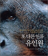 또 다른 인류 유인원