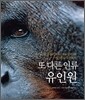 또 다른 인류 유인원