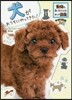 動物の飼い方がわかるまんが道鑑 犬がおうちにやってきた!