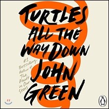 Turtles All the Way Down