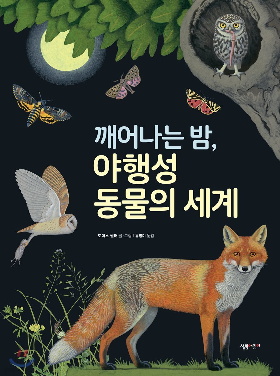 깨어나는 밤, 야행성 동물의 세계