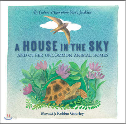 A House in the Sky: And Other Uncommon Animal Homes