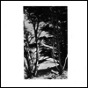 Rick Deitrick - Gentle Wilderness (LP)