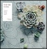 다육식물 디자인