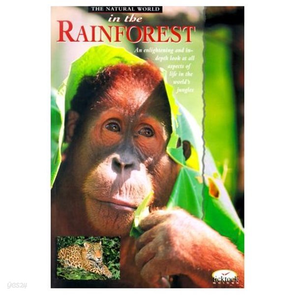 In the Rainforest (Natural World)