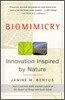 Biomimicry: Innovation Inspired by Nature