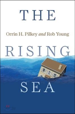 The Rising Sea