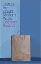 Culture in a Liquid Modern World