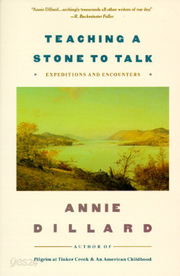 Teaching a Stone to Talk: Expeditions and Encounters