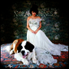 Norah Jones - The Fall (180g 오디오파일 LP)